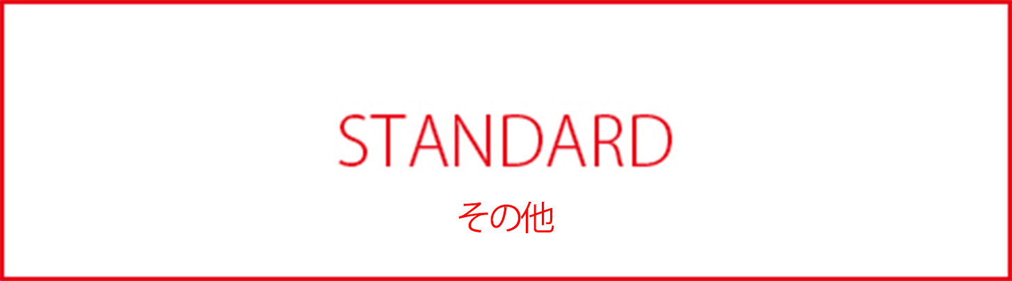 STANDARD_BAGnNOUN_その他